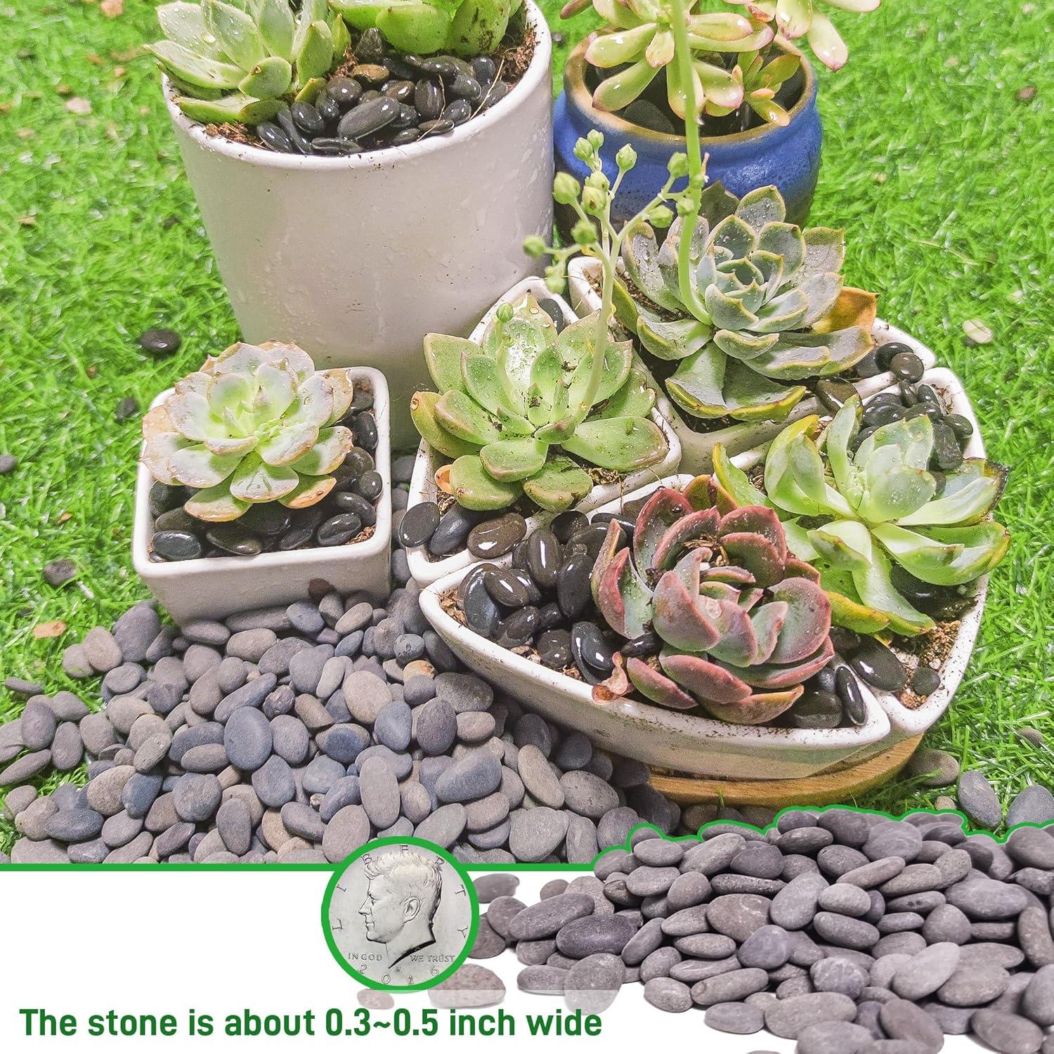 Piedras de Río Grava Natural CJGQ 1.09kg para Jardines y Acuarios