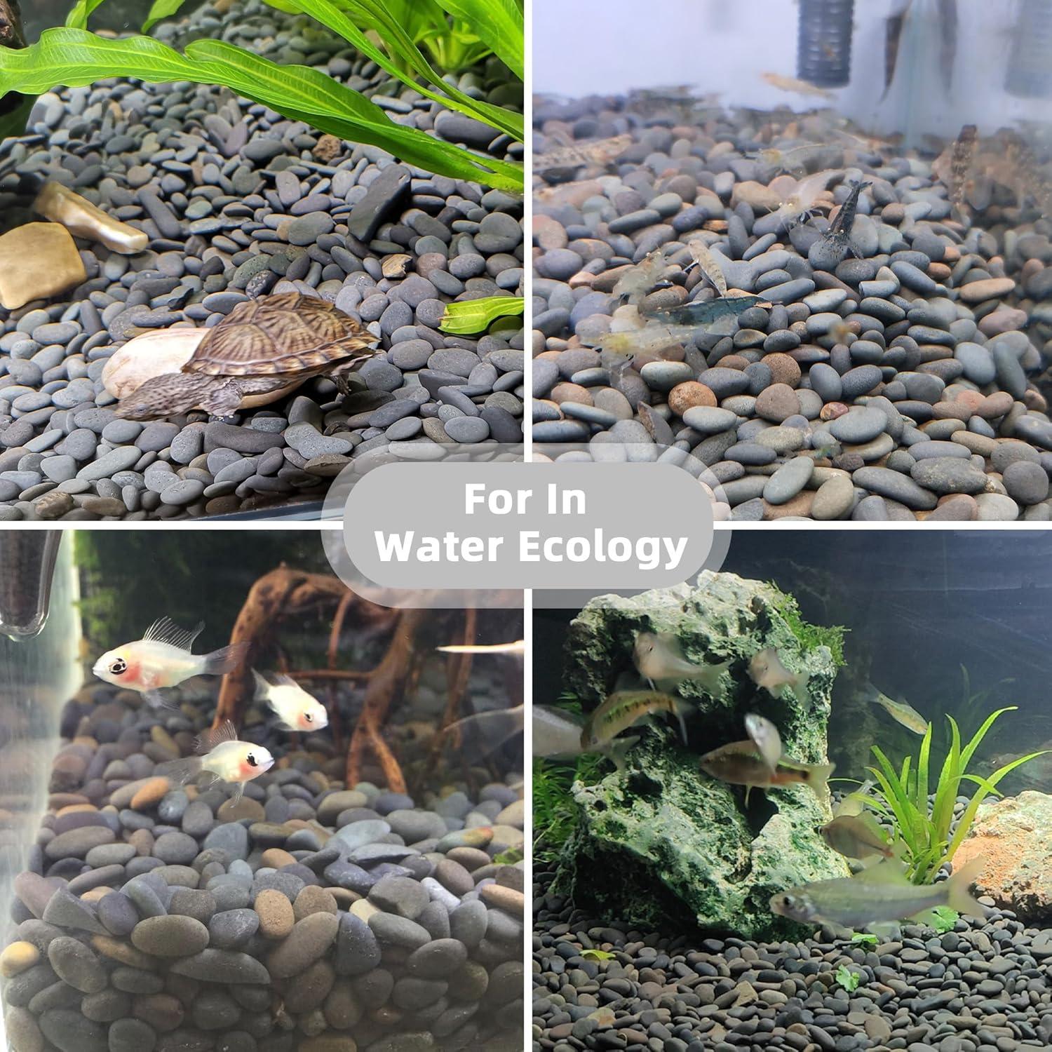 Piedras de Río Grava Natural CJGQ 1.09kg para Jardines y Acuarios