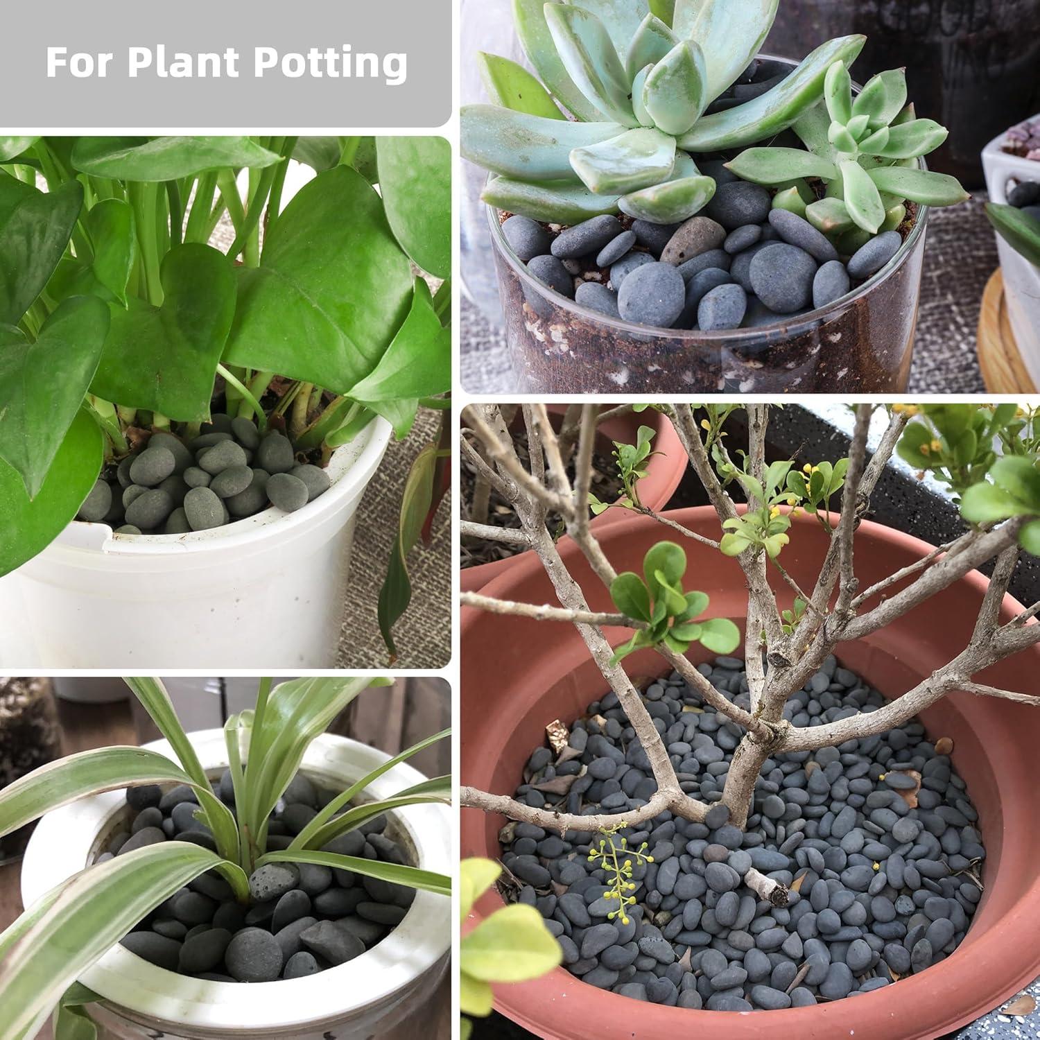 Piedras de Río Grava Natural CJGQ 1.09kg para Jardines y Acuarios