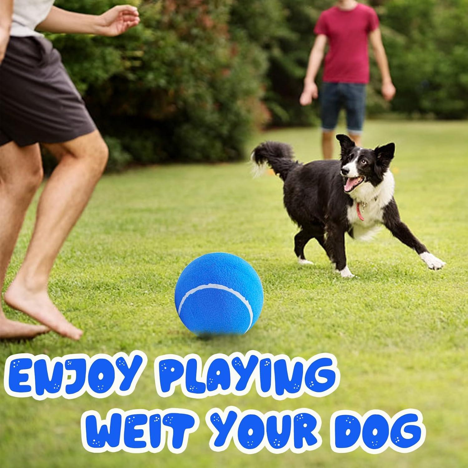 Pelota de Tenis Gigante para Perros Banfeng 24 cm Azul