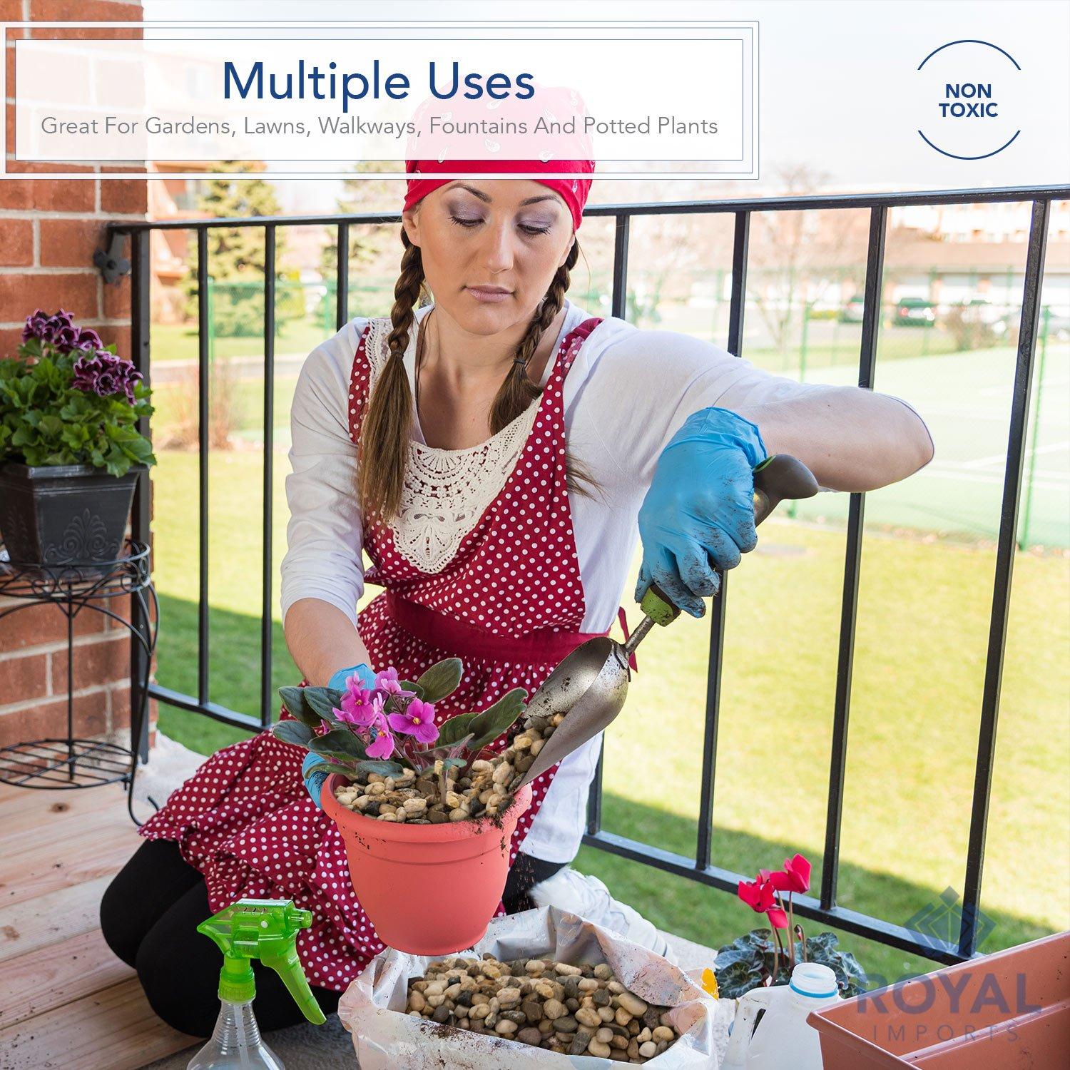 Piedras de Río Decorativas Royal Imports 2.27kg - Claro