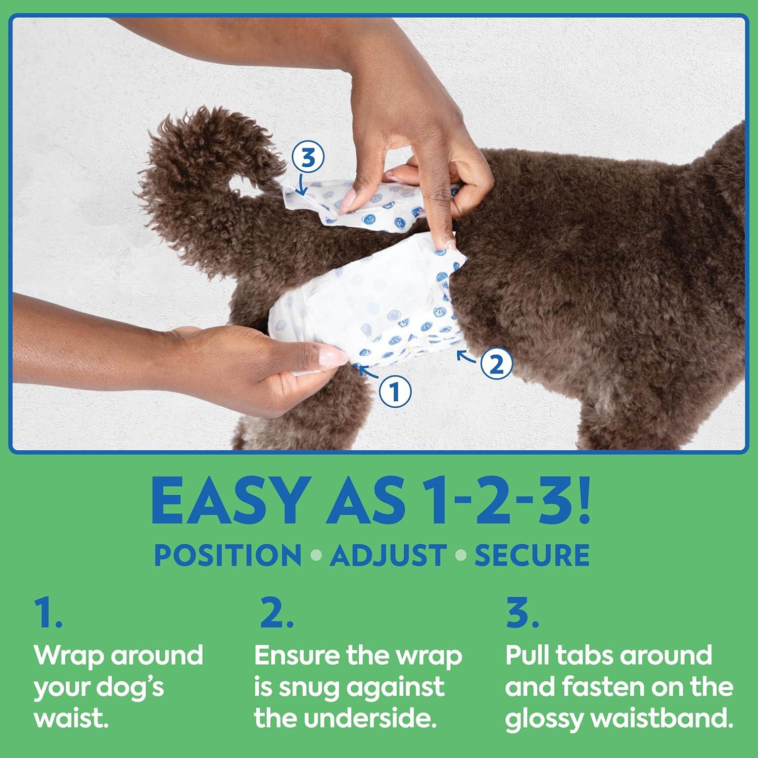 Pañales Desechables para Perros Machos OUT! XS/S 12 Unidades