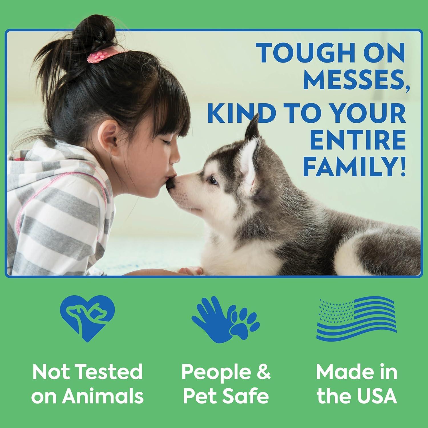 Pañales Desechables para Perros Machos OUT! XS/S 12 Unidades