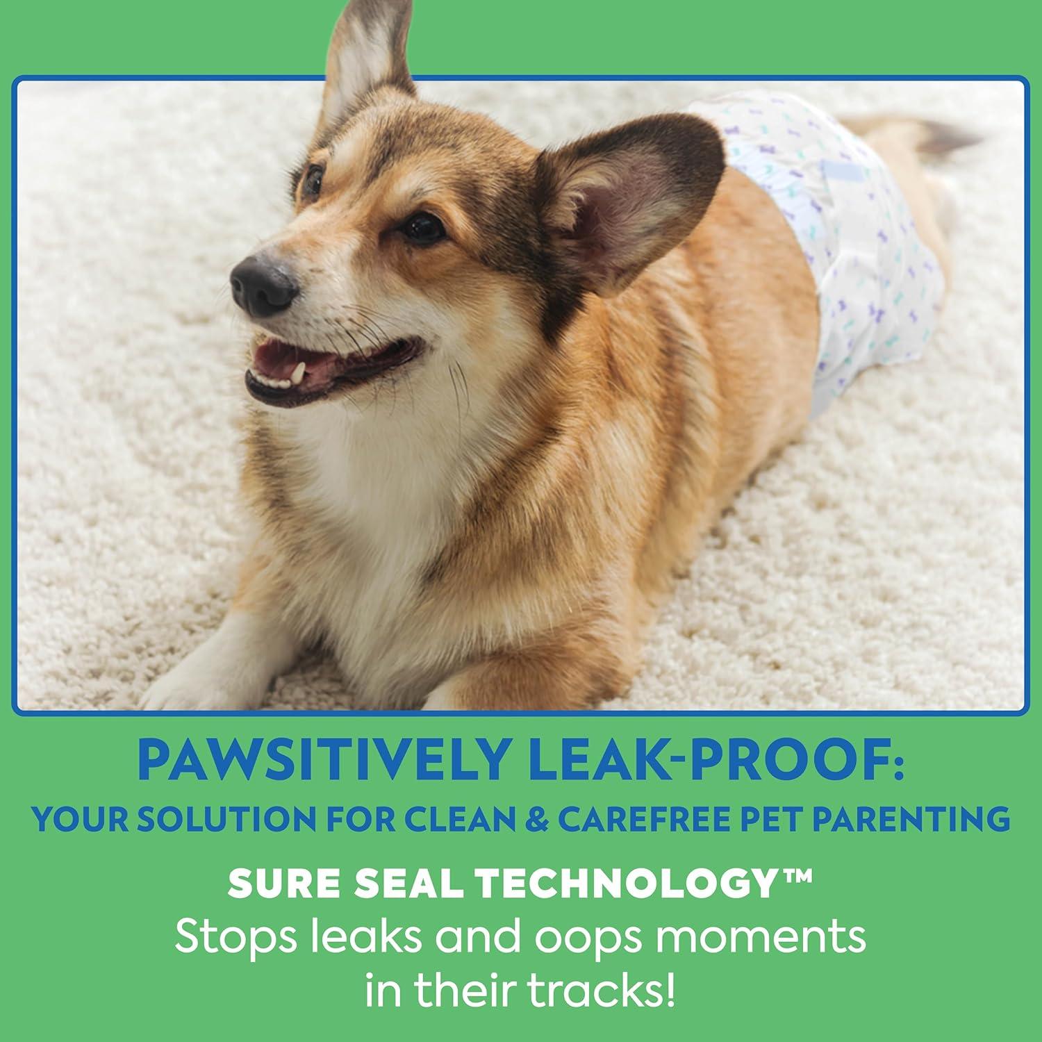 Pañales Desechables para Perros Machos OUT! XS/S 12 Unidades