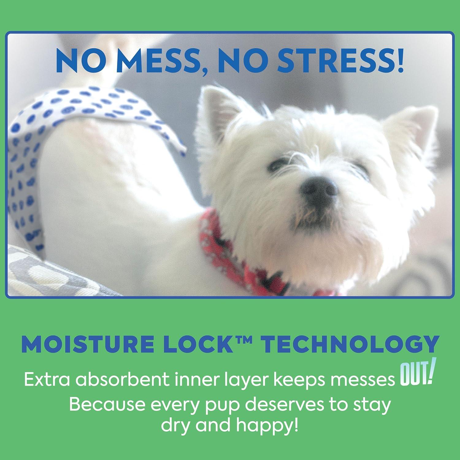 Pañales Desechables para Perros Machos OUT! XS/S 12 Unidades