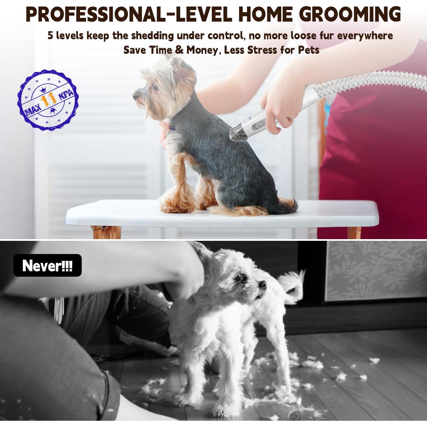 Dog Grooming Vacuum & Kit, 15 Pet Grooming Tools, Max 11 Kpa, 2 L Capacity, Pet Groomer for Dogs/Cats/Home