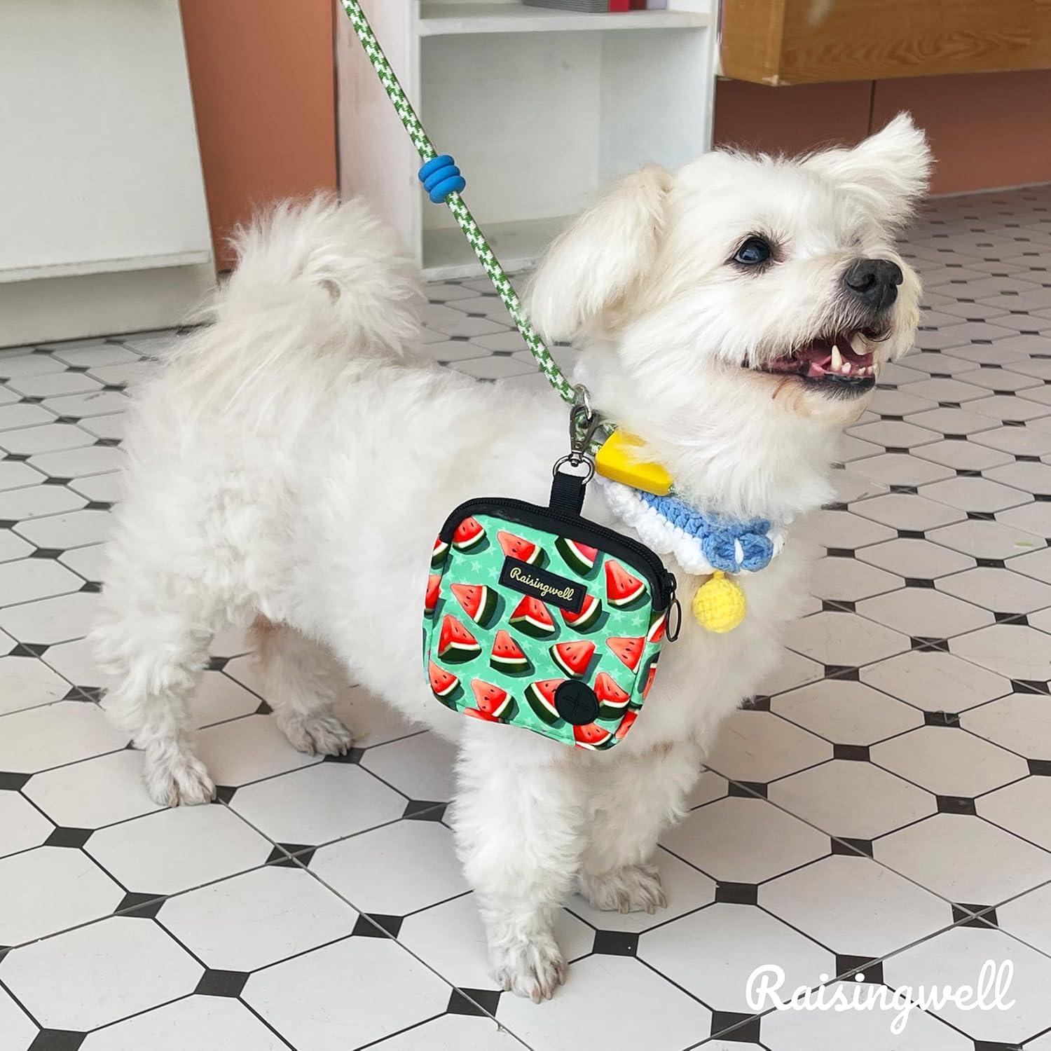 Bolsa de golosinas para perros Raisingwell DTP-02 Sandía