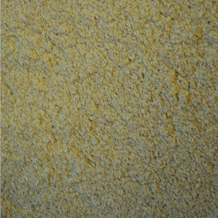 Comida de Emergencia Oxbow Critical Care 100g Papaya