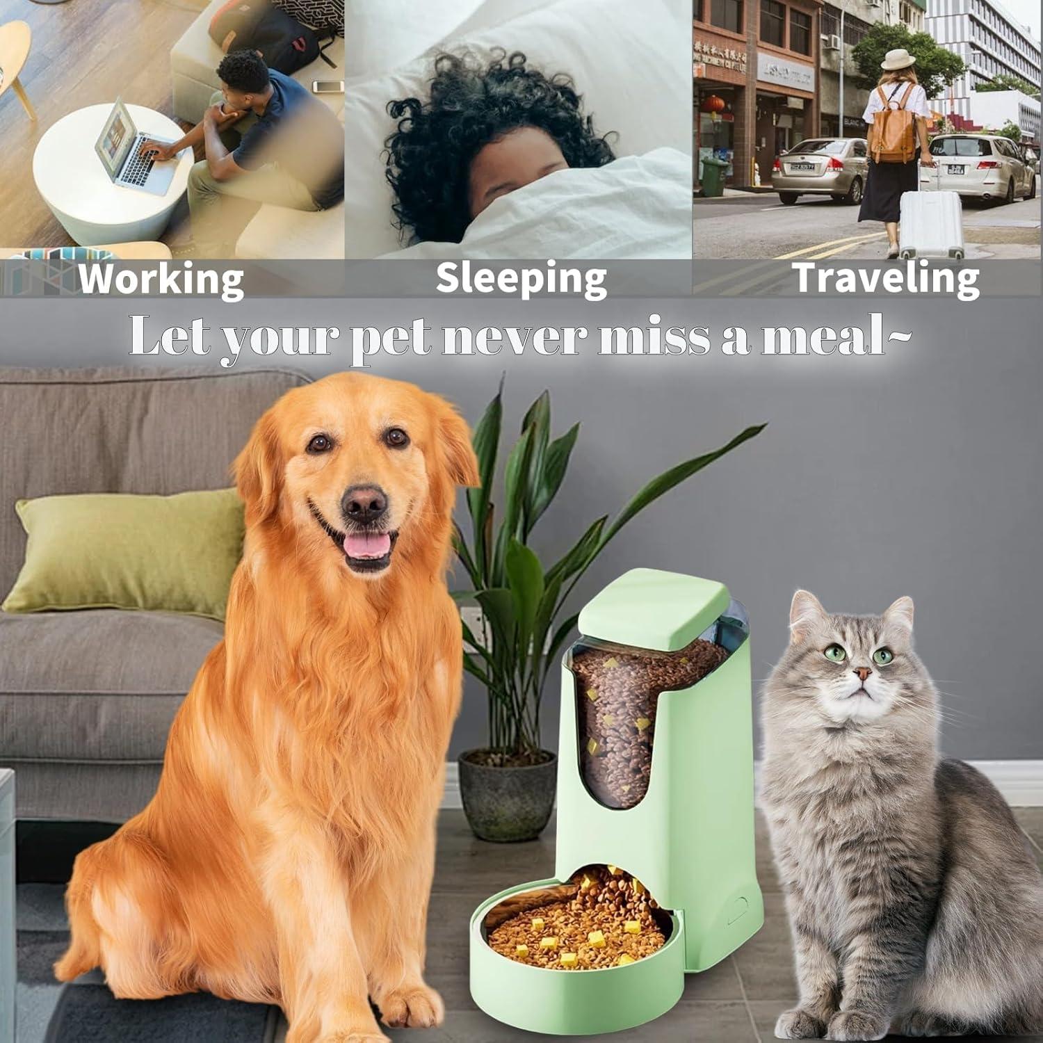 Comedero Automático Hamiledyi 2.8L Acero Inoxidable Verde Claro