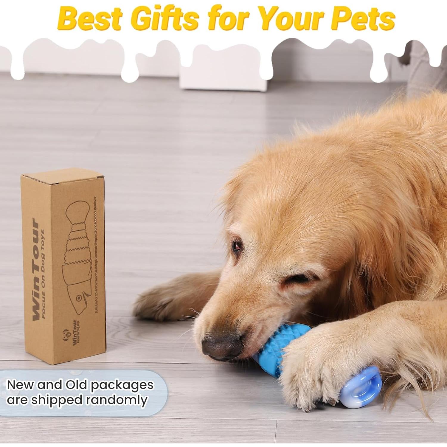 Juguete para Perros WinTour Tiburón Azul Masticadores Agresivos