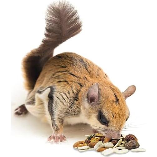Squirrel Complete - Nutritionally Complete Diet for Pet & Captive Squirrels & Chipmunks (1.75 lb.)
