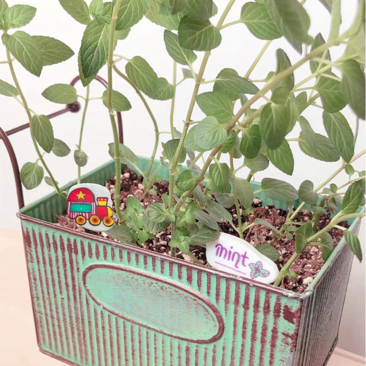 20PCS Smooth Painting Rocks, 1.2"-2.0" White, Flat Natural Irregular DIY Painting Supplies