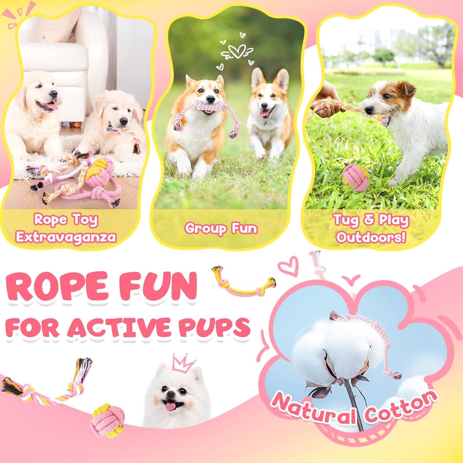 Set de Juguetes para Cachorros KIPRITII 25 Piezas Rosado