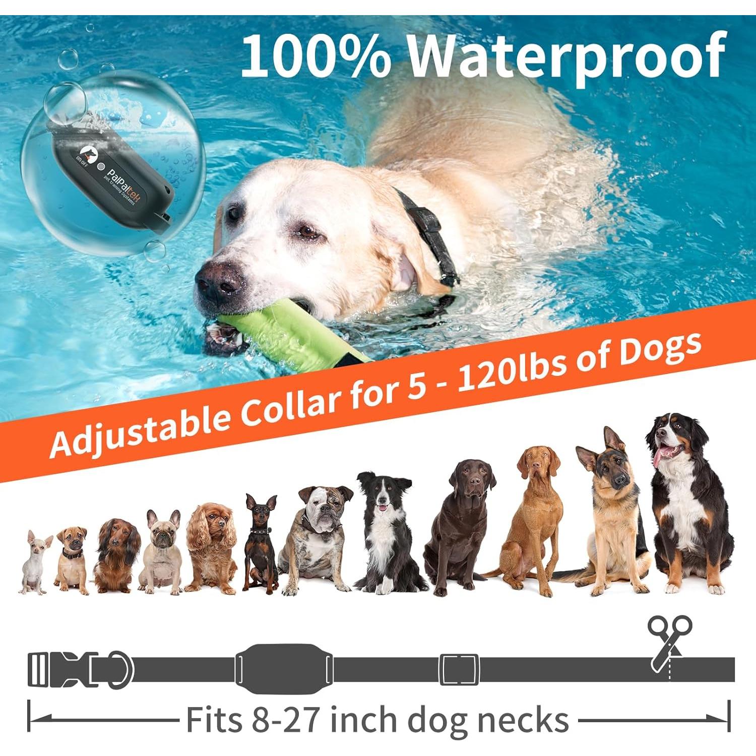 Collar Vibrante para Perros PaiPaitek PD 519V - Sin Choque, Impermeable, 1006m