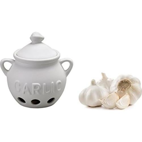 Conservador de Ajo Fantes Cerámica Sin Esmalte 11.43x13.34cm