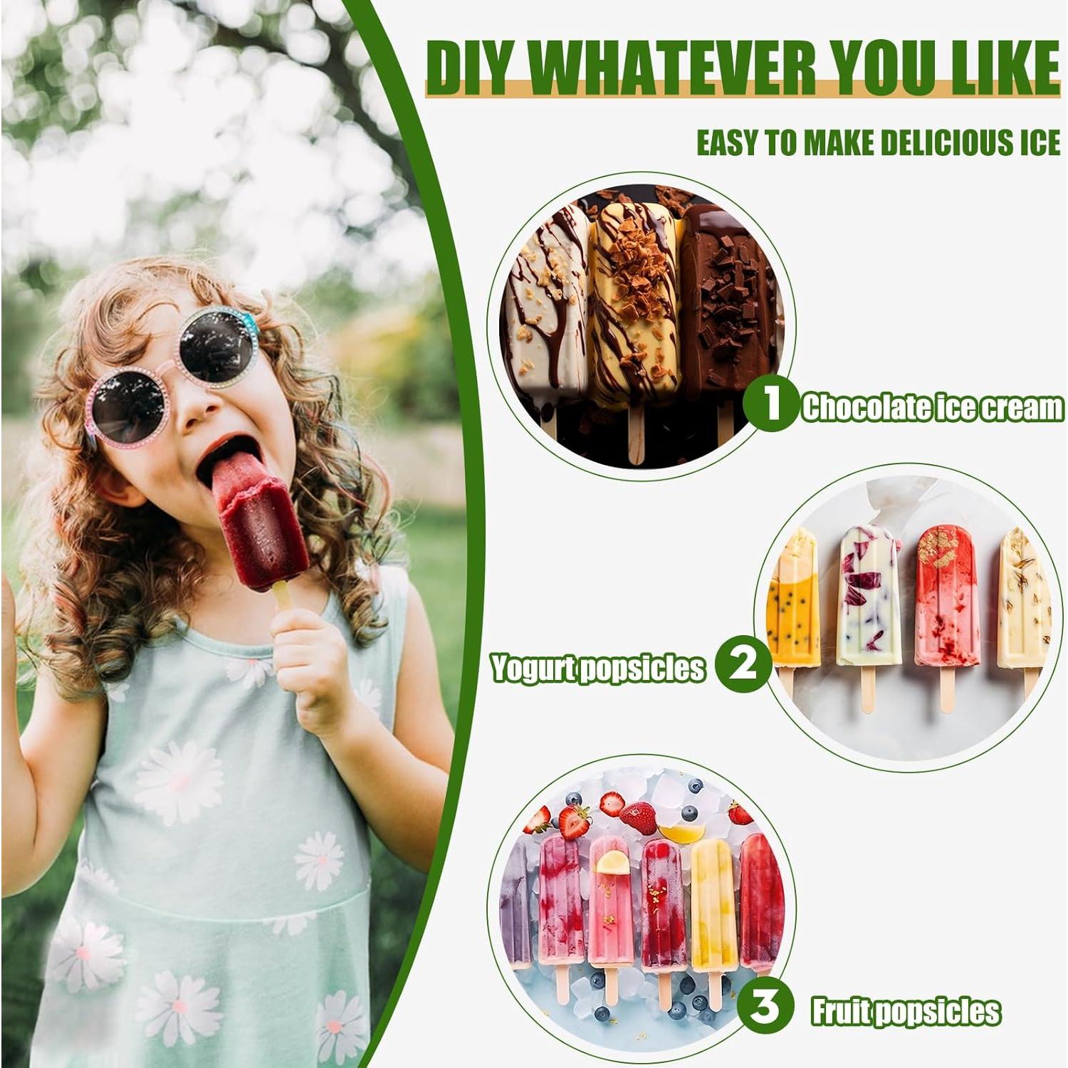 Molde de Paletas de Silicona JDH 10 Cavidades Libre de BPA