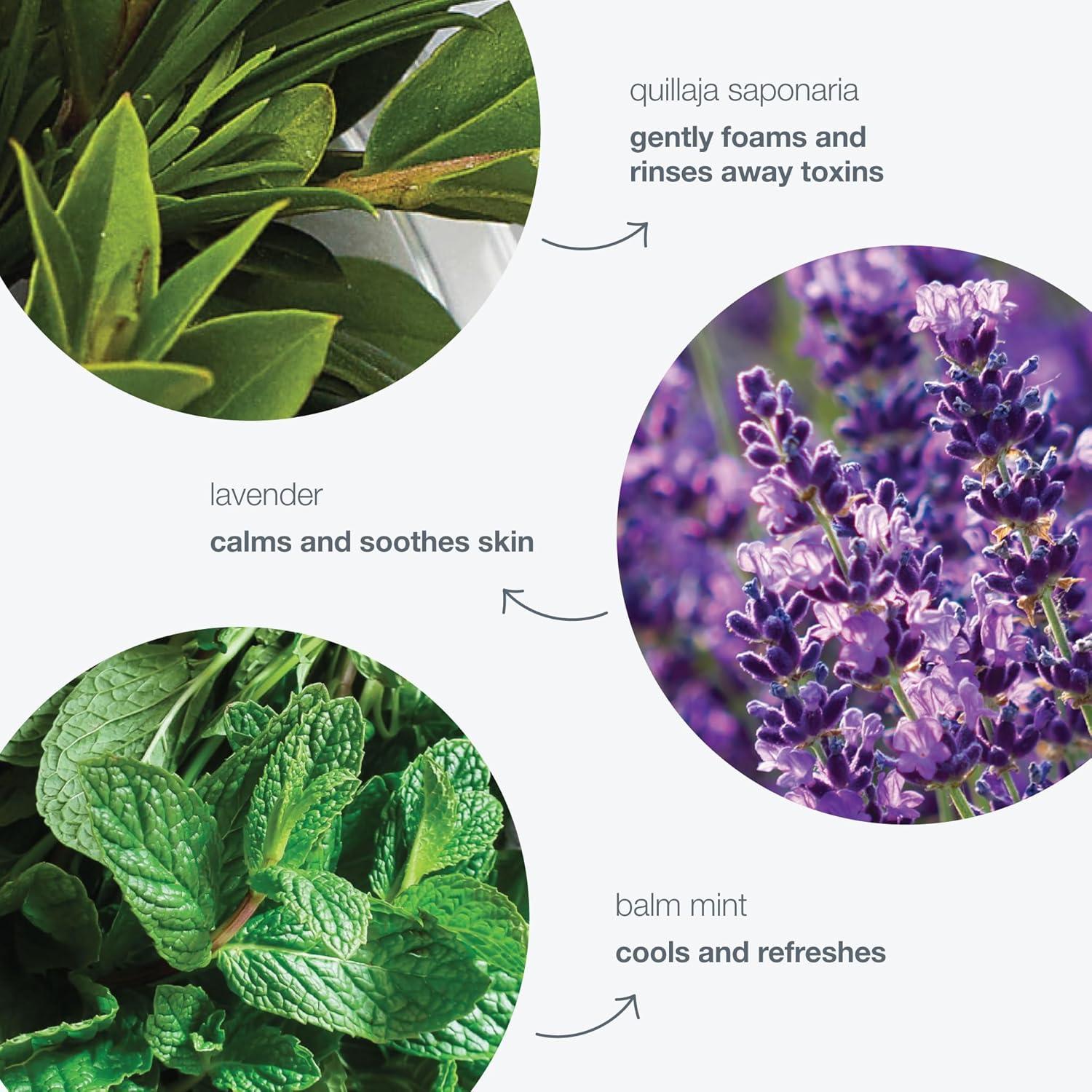 Gel Limpiador Facial Espumoso Dermalogica 50 ml - Todo Tipo de Piel