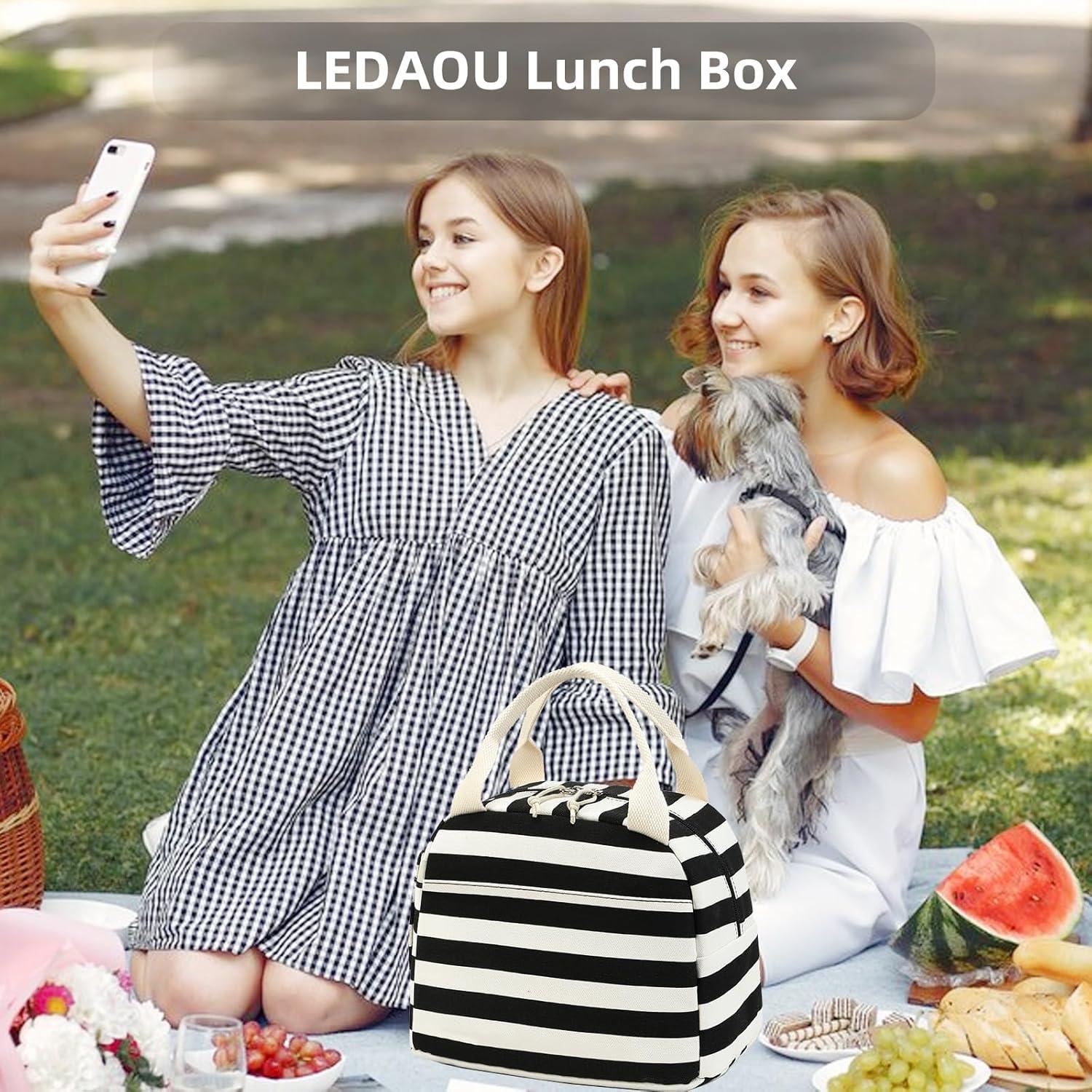 Bolsa de Almuerzo Aislada LEDAOU para Mujeres 10L Rayas