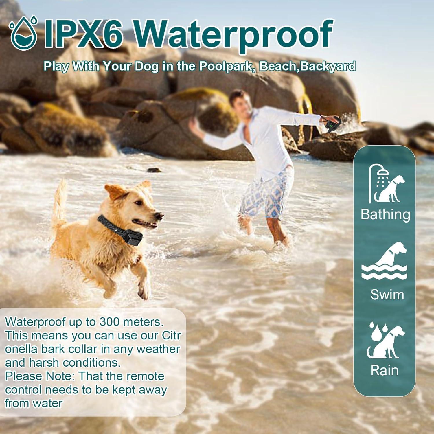 Collar de Entrenamiento de Citronela KDSZJDV T510 IPX7 para Perros