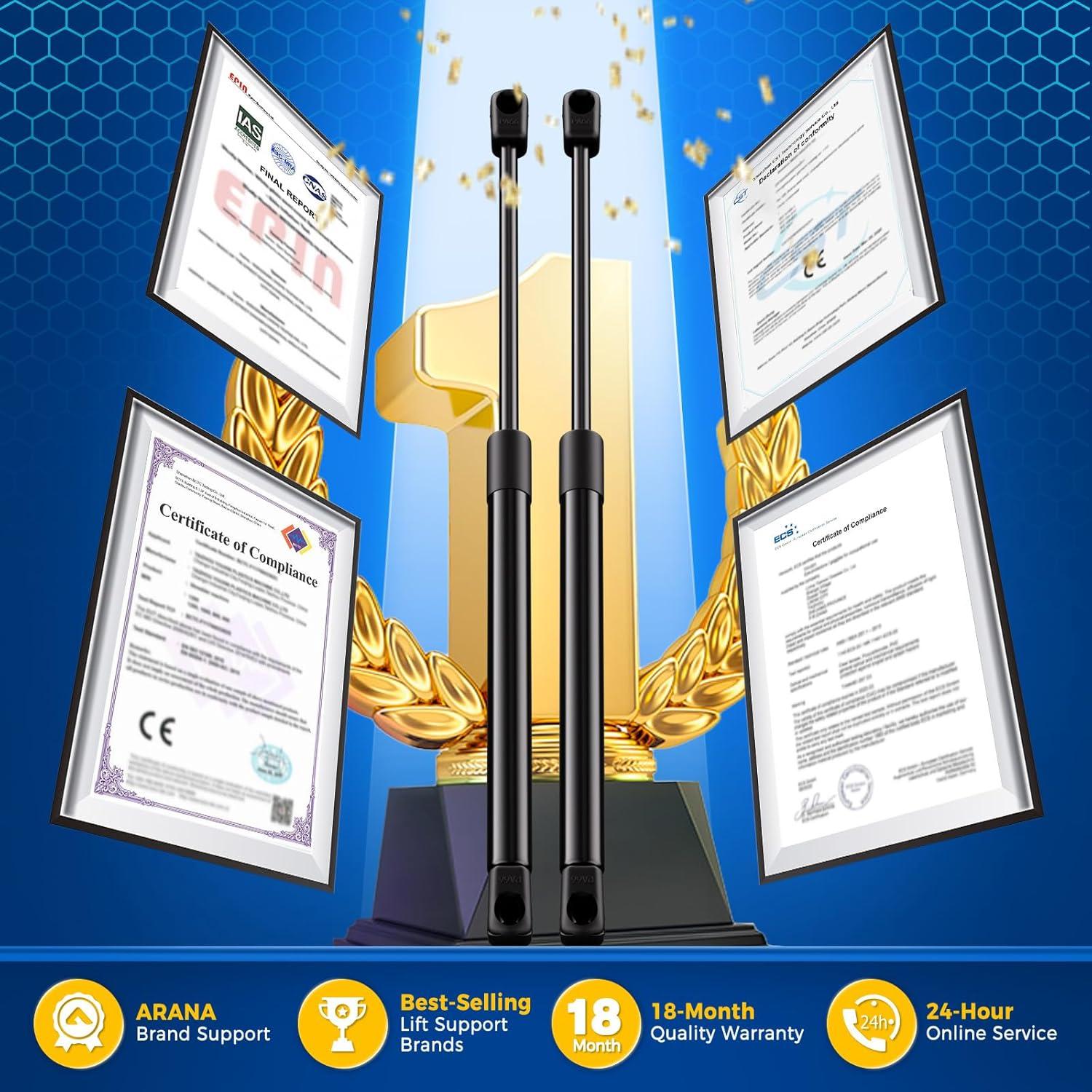 Amortiguadores Traseros ARANA PM1017 para Hyundai Santa Fe 2007-2012