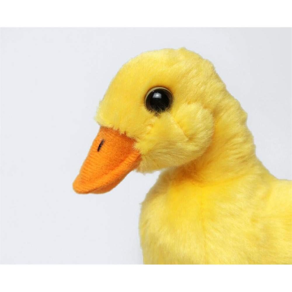 Juguete de Peluche Pollito Amarillo Squishmallows 12cm