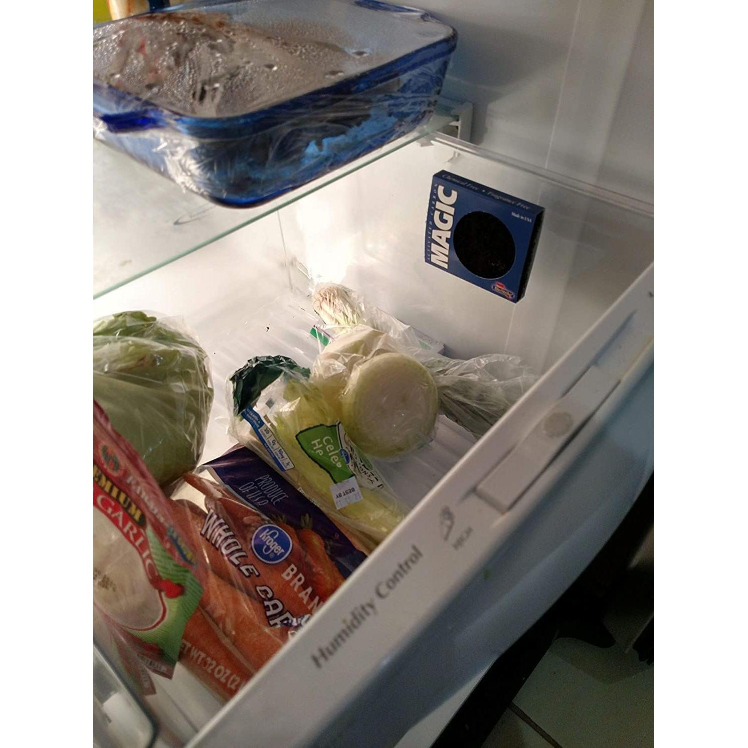 Odor Magic - Desodorante de Nevera de Carbón Activado - 2 Filtros