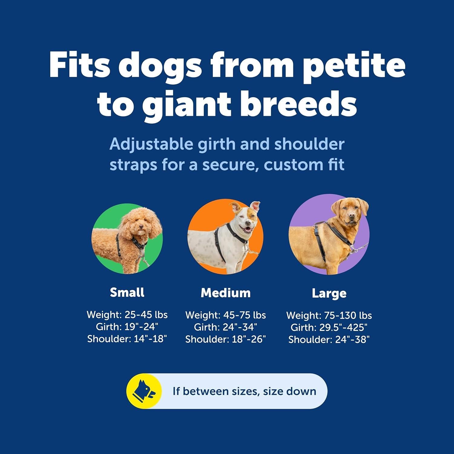 Arnés 3-en-1 PetSafe Mediano Negro con Correa de Control