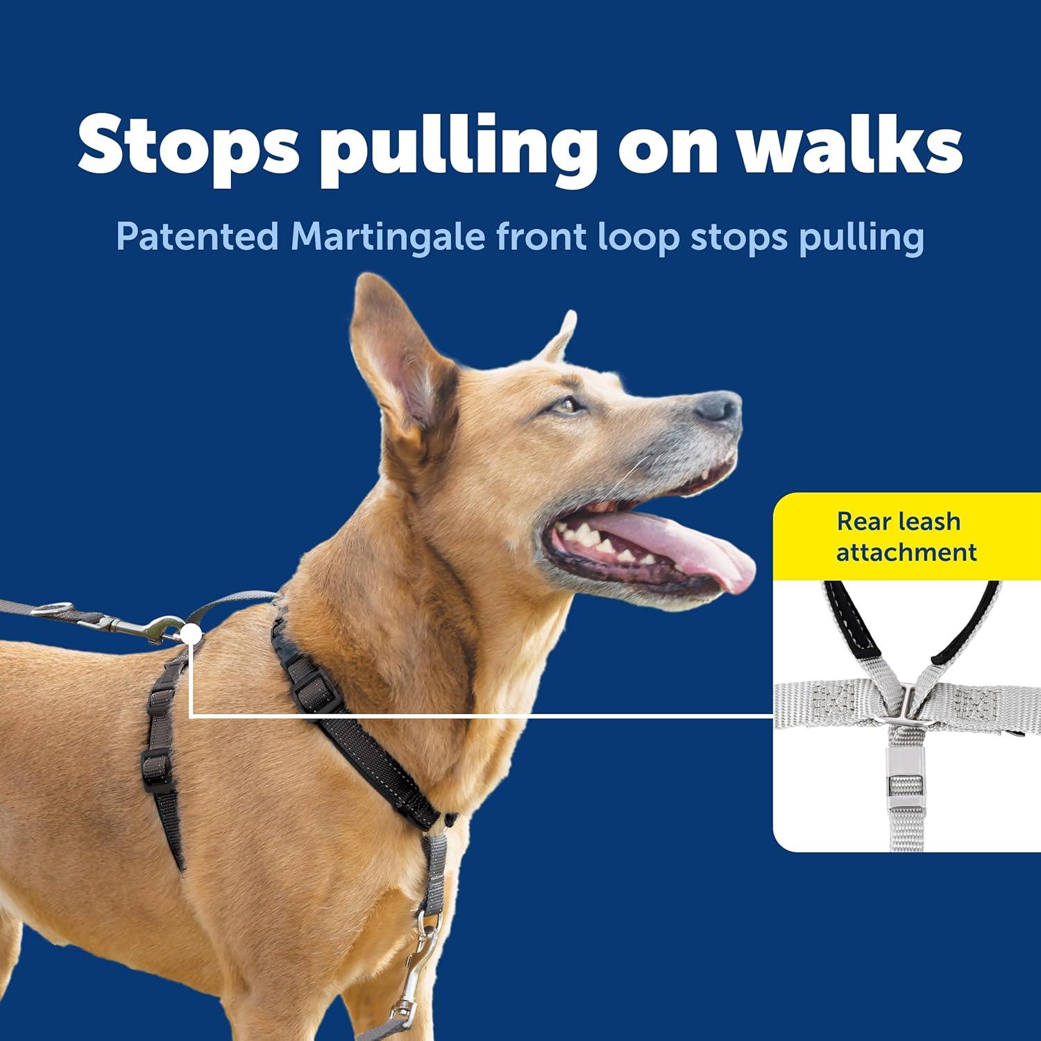 Arnés 3-en-1 PetSafe Grande Negro con Correa de Control