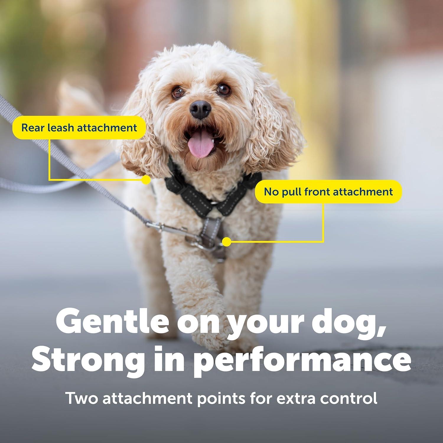 Arnés 3-en-1 PetSafe Grande Negro con Correa de Control