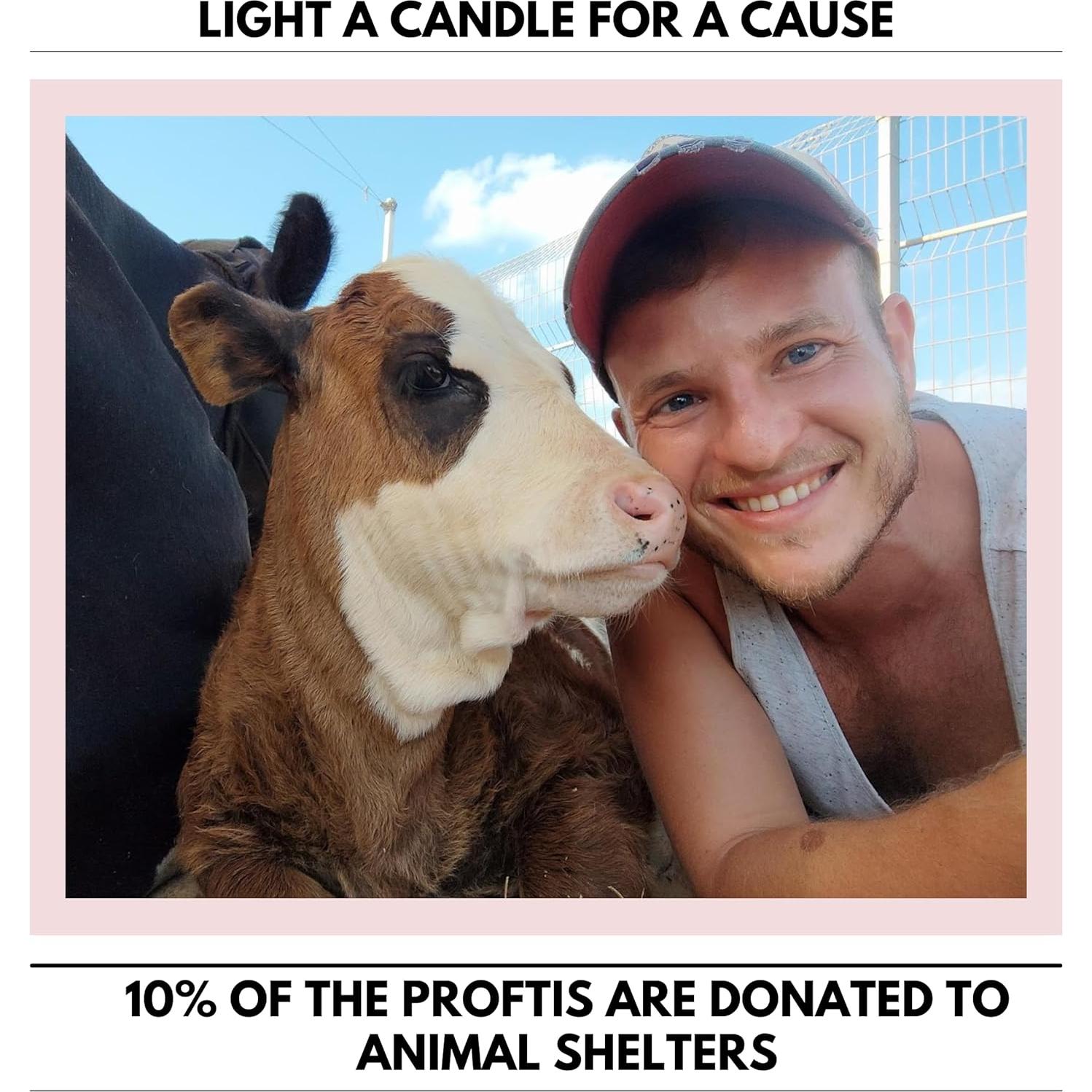 Maceta de Cemento Matani con Vela Aromática de Soja Vainilla