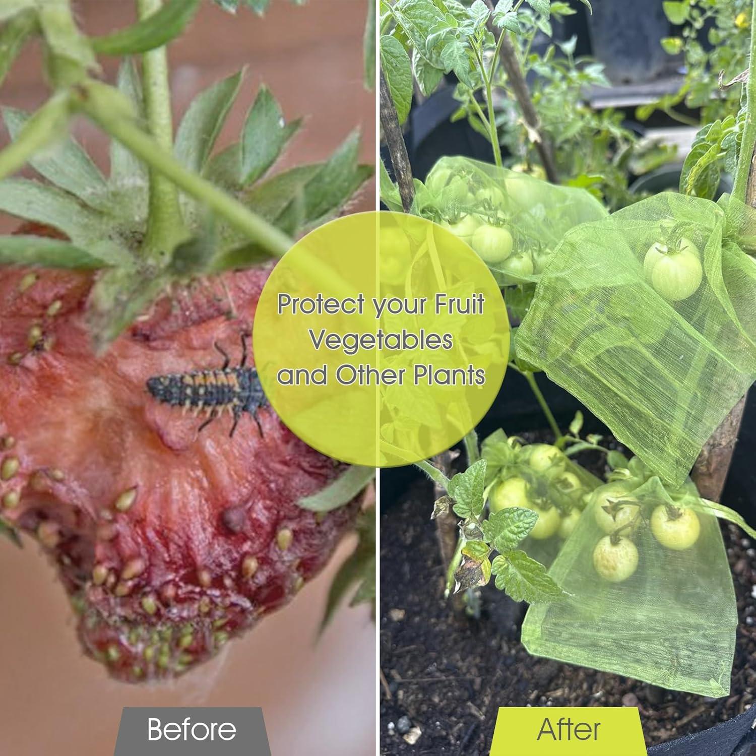 Bolsas de Protección de Frutas RIFNY 100 Pcs Malla Verde