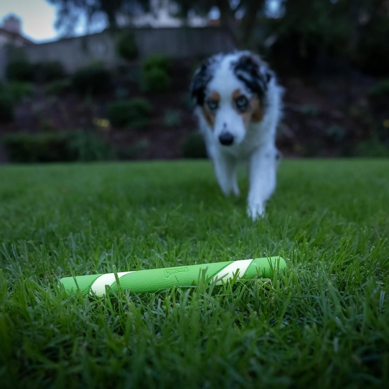 Juguete para Perros Chuckit! Max Glow Ultra Fetch Stick 30cm