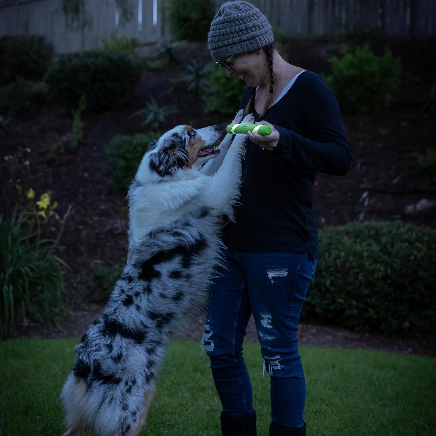 Juguete para Perros Chuckit! Max Glow Ultra Fetch Stick 30cm