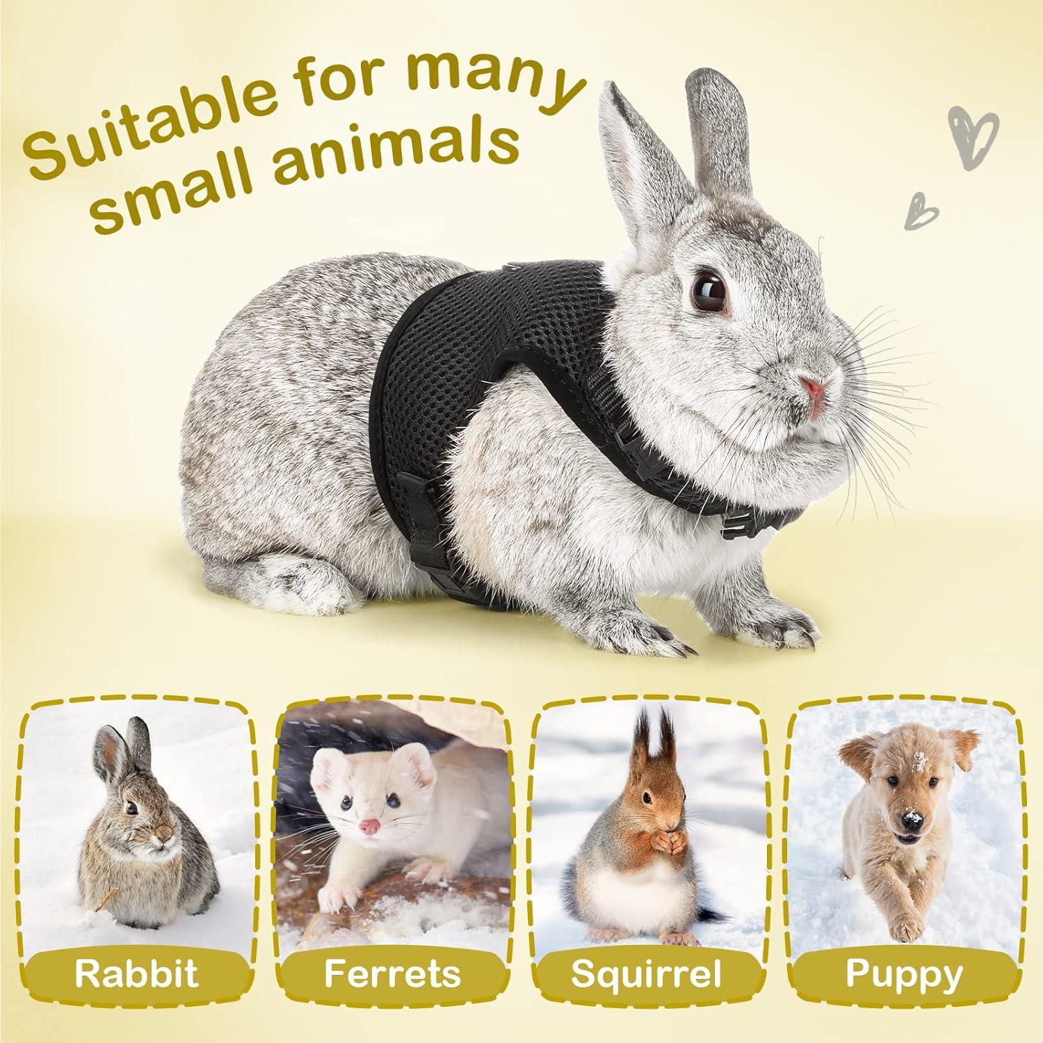 Arnés Ajustable para Conejo PETTOM con Correa Elástica Negro XS