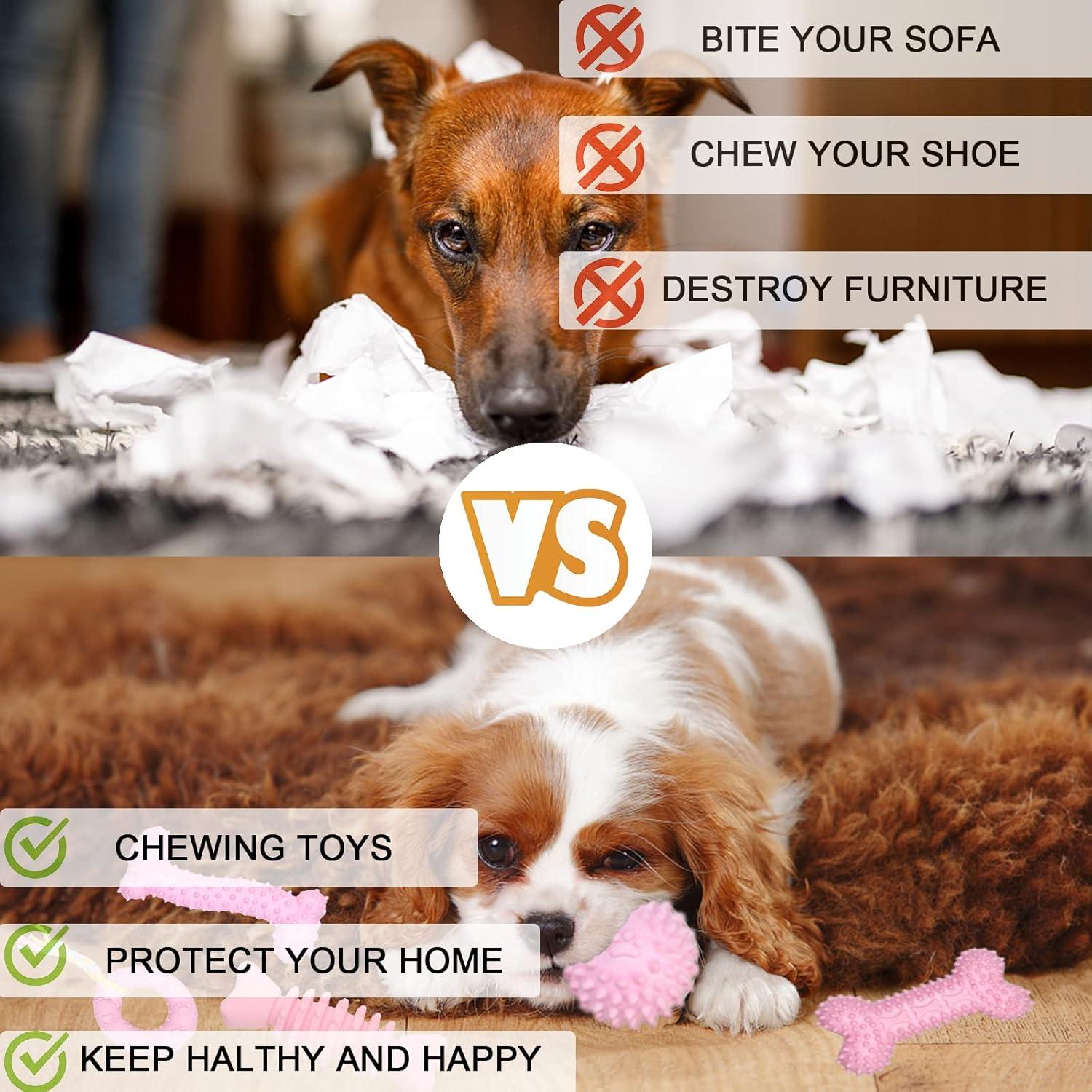 Juguetes para Cachorros CGBD - Paquete de 6 Rosa Masticables