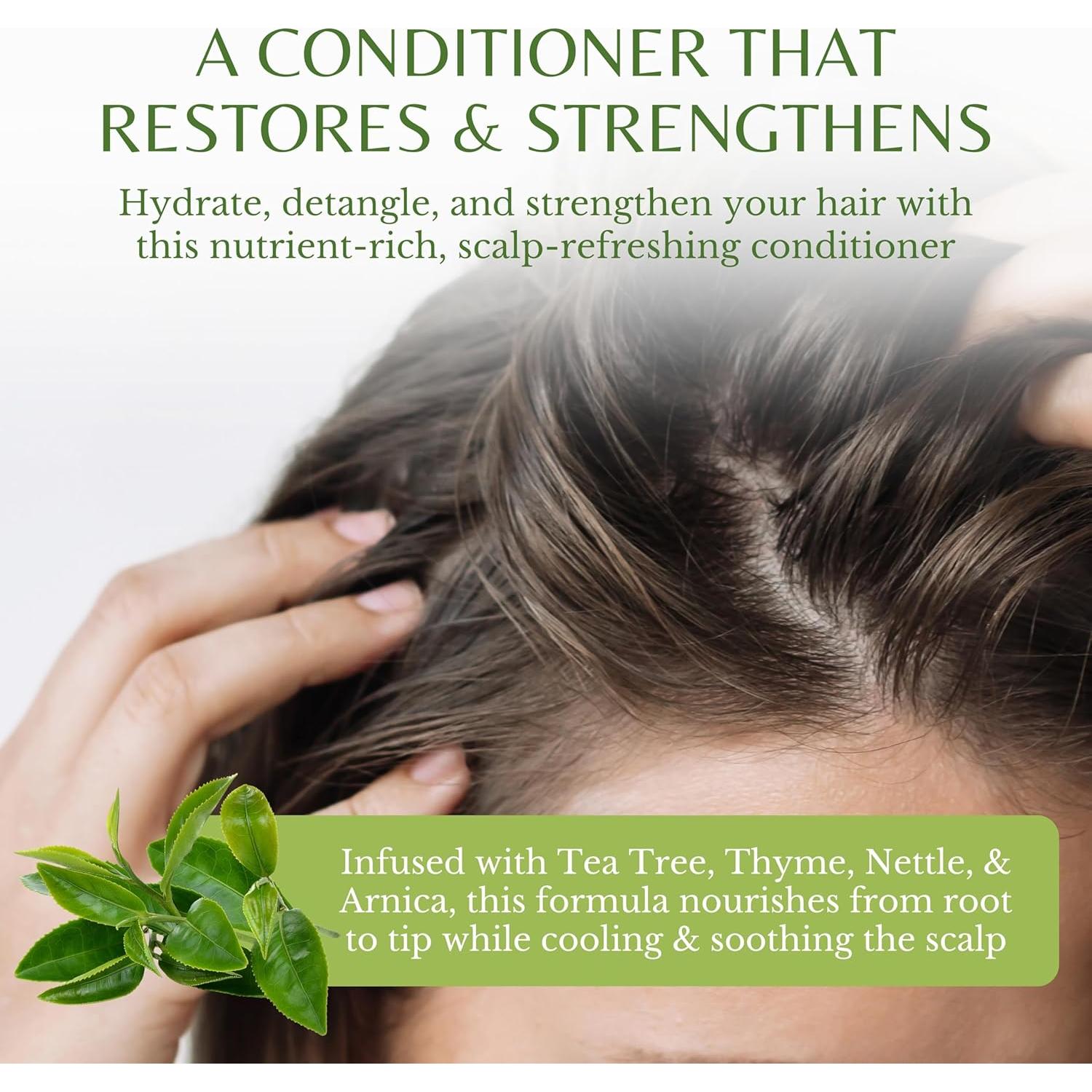 Tea Tree Conditioner with Thyme, Nettle & Arnica, 16 fl oz, Invigorating & Nourishing Formula, Vegan, Sulfate-Free, Paraben-Free, for All Hair Types
