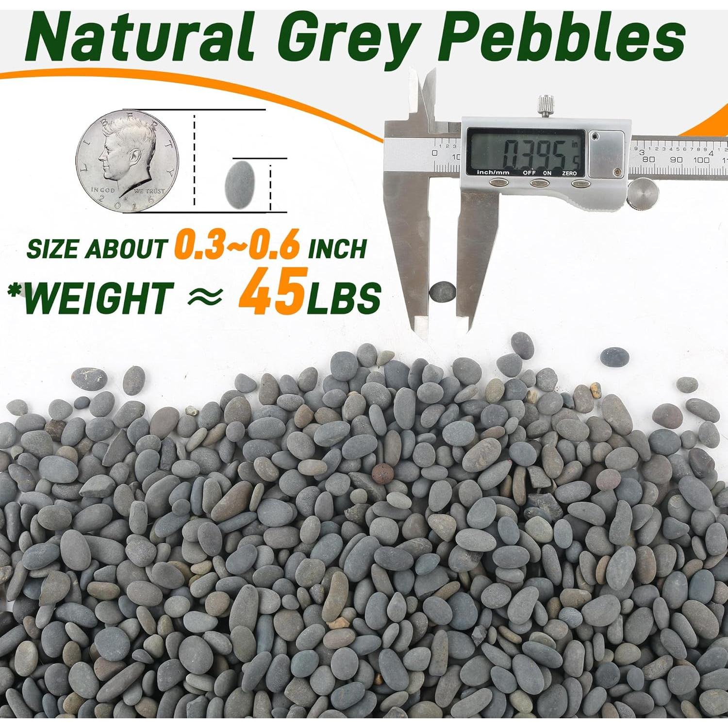 Guijarros de Playa Quibbay 2.27 kg para Jardín y Acuarios