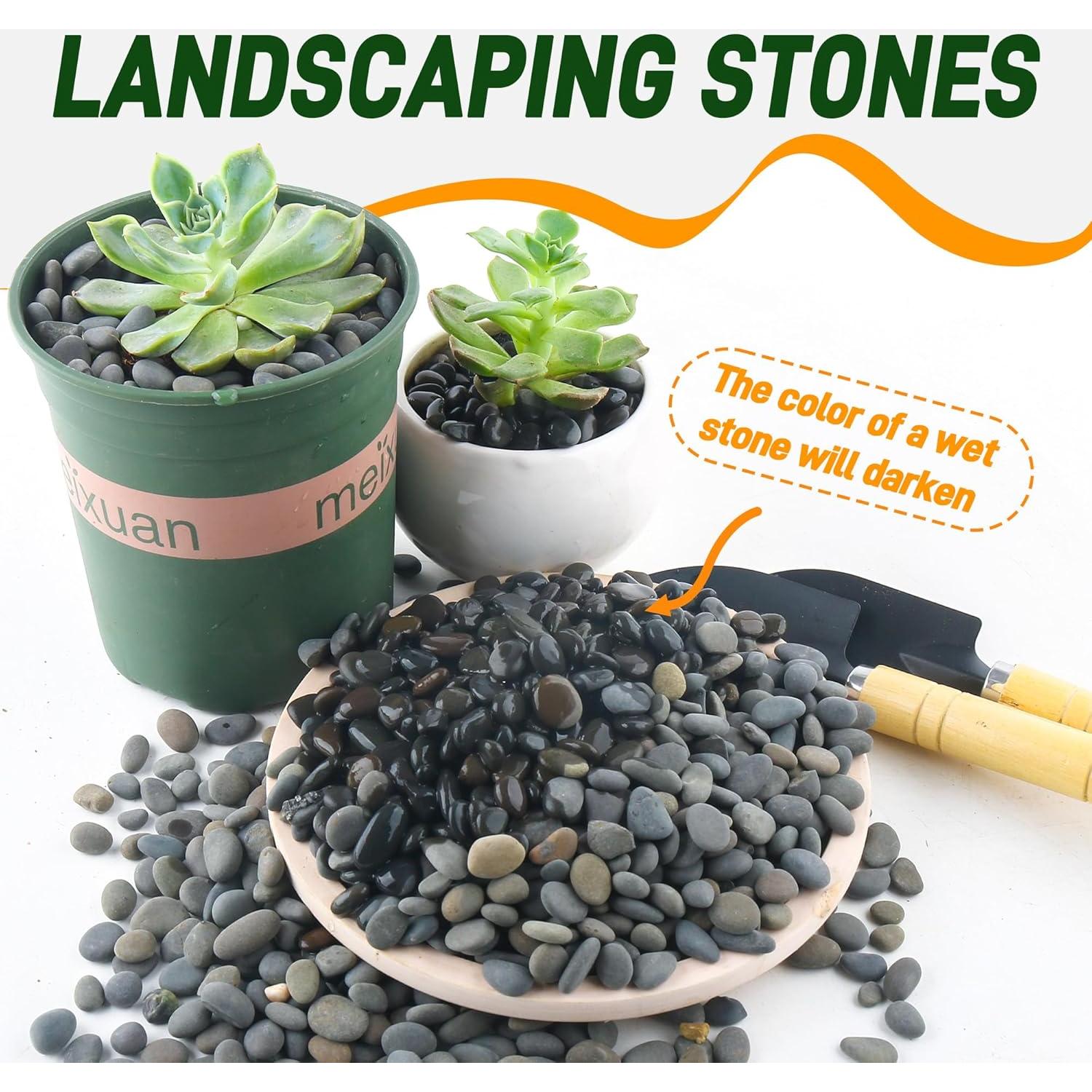 Guijarros de Playa Quibbay 2.27 kg para Jardín y Acuarios