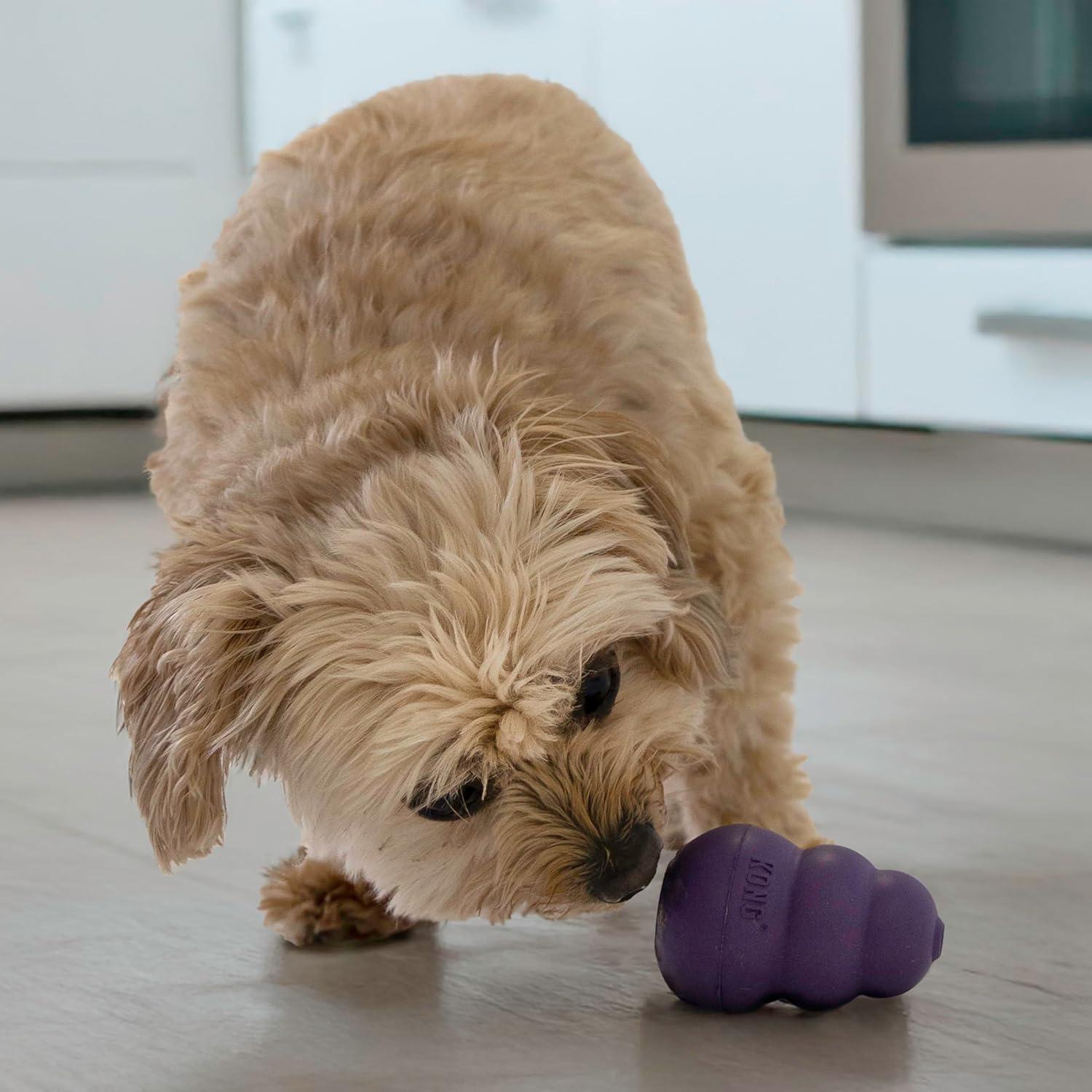 KONG Senior Juguete para Perros Mayores Rellenable 7.6cm