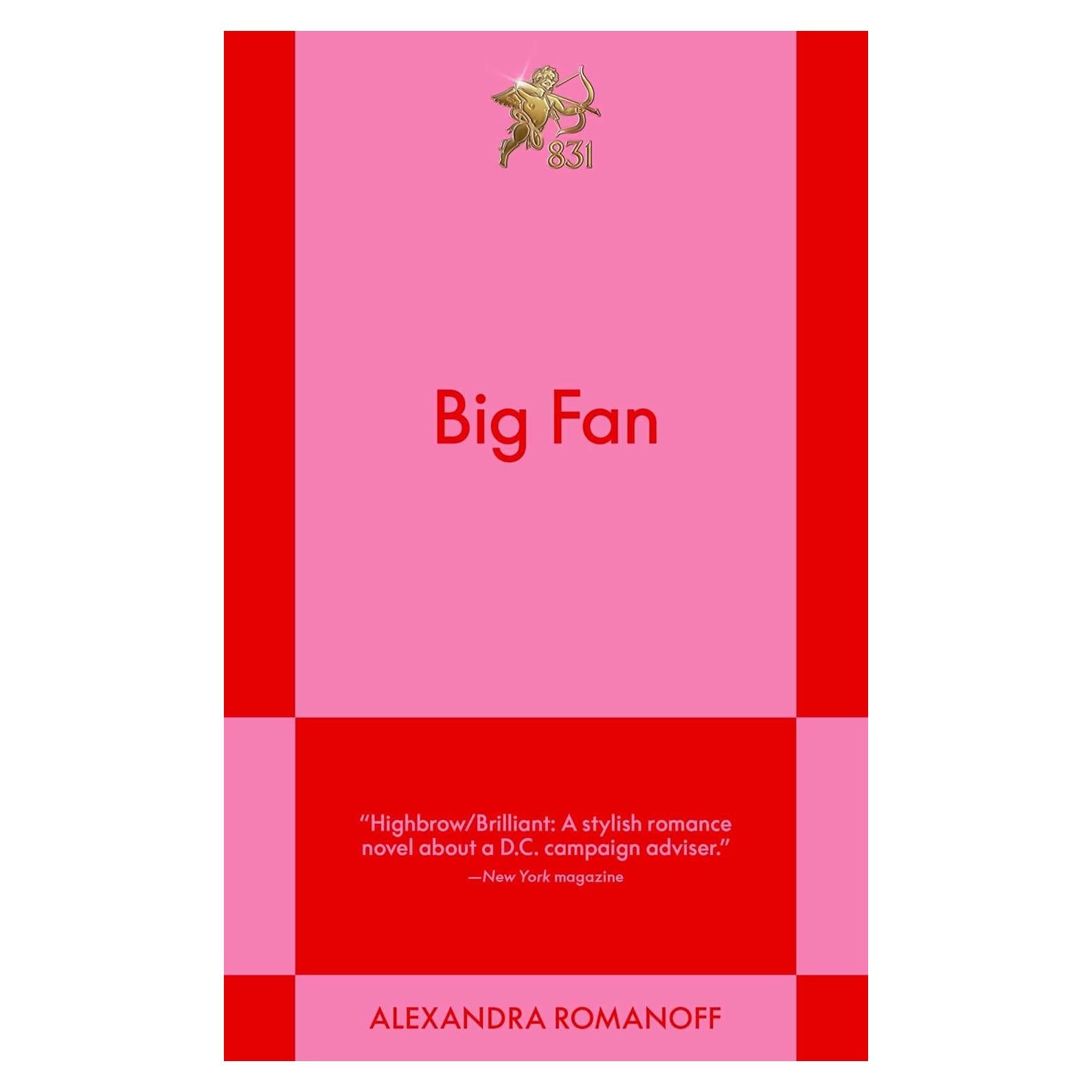 Big Fan: An 831 Stories Romance (1) (The Big Fan Series)