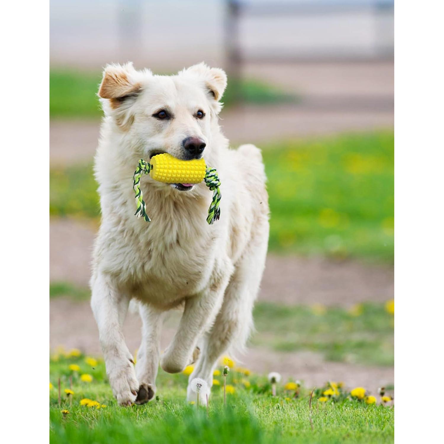 Juguete para perros Carllg cepillo de dientes 11.2 cm TPR