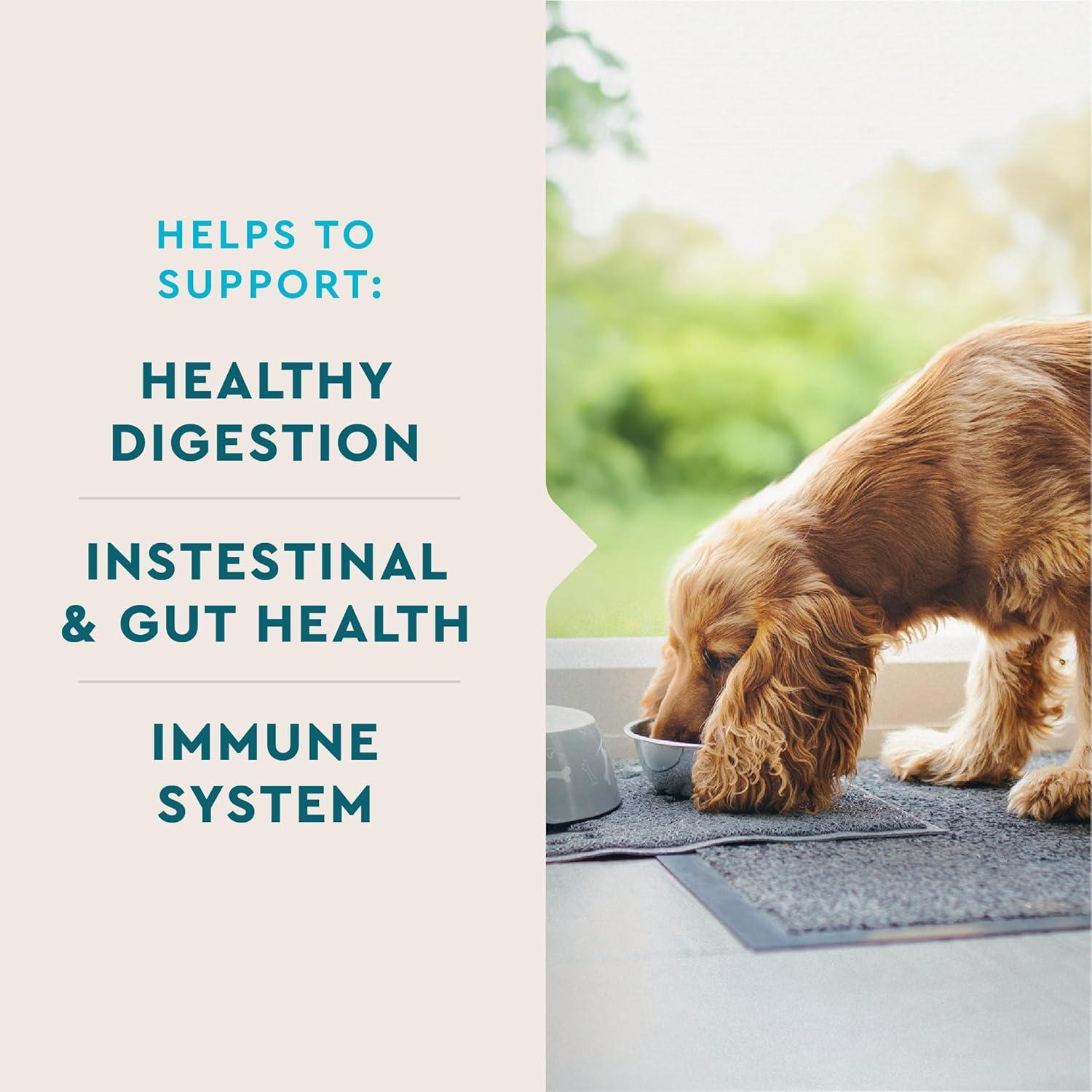 Suplemento Probiotico VetIQ para Perros 60 Masticables Digestivos