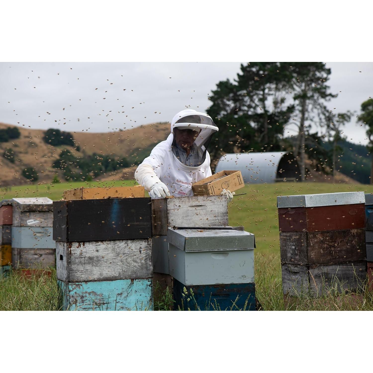 Miel de Manuka UMF 10+ API Health 500g Pura de Nueva Zelanda