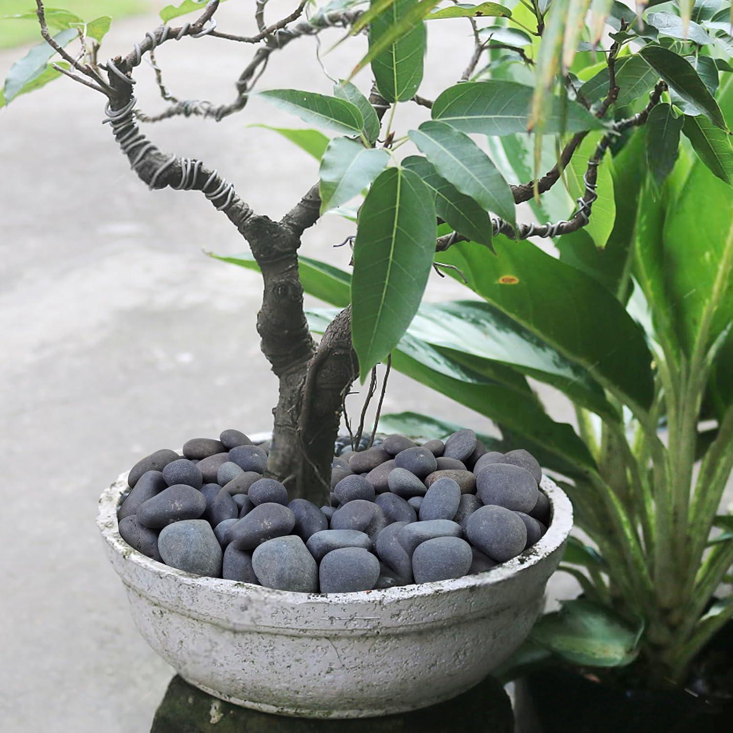 Rocas Negras Naturales para Paisajismo 9.07kg SHIZWU