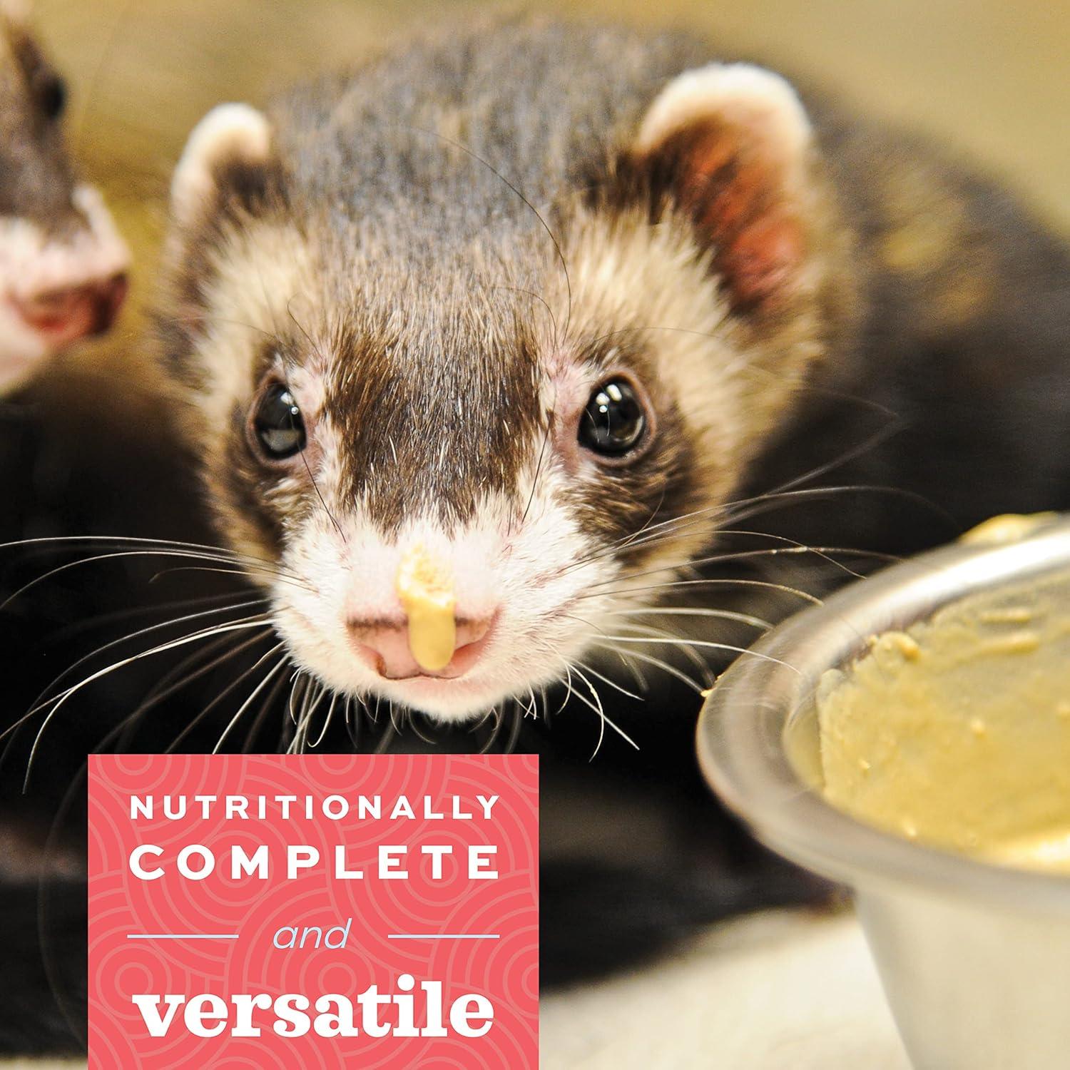 Alimento de Recuperación Oxbow Carnivore Care 70g para Gatos y Hurones