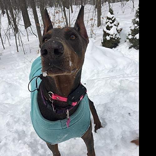 Correa de Reemplazo E-Collar Sparky Pet Co 1" Ajustable Negra