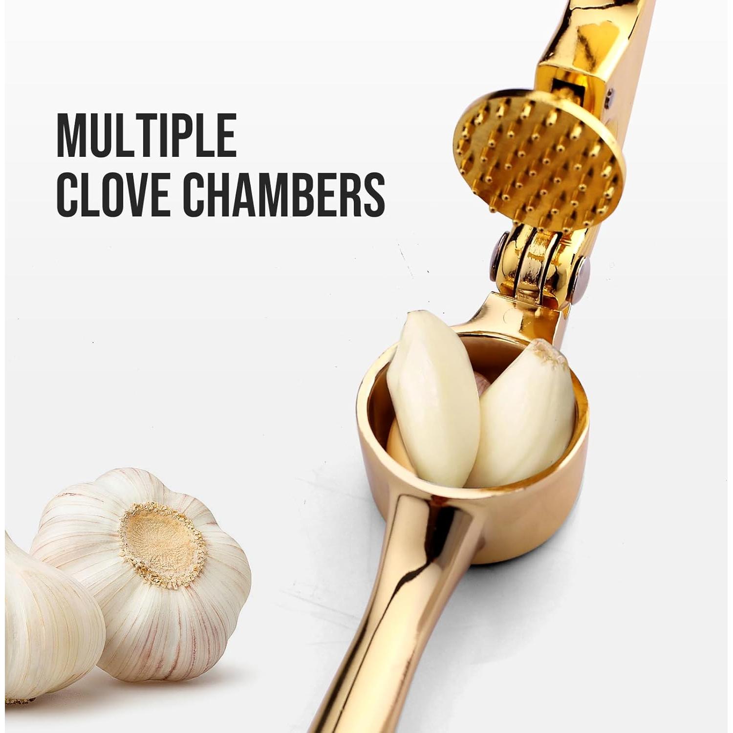 Prensa de Ajo y Jengibre Drincarier Oro, Resistente y Fácil de Limpiar