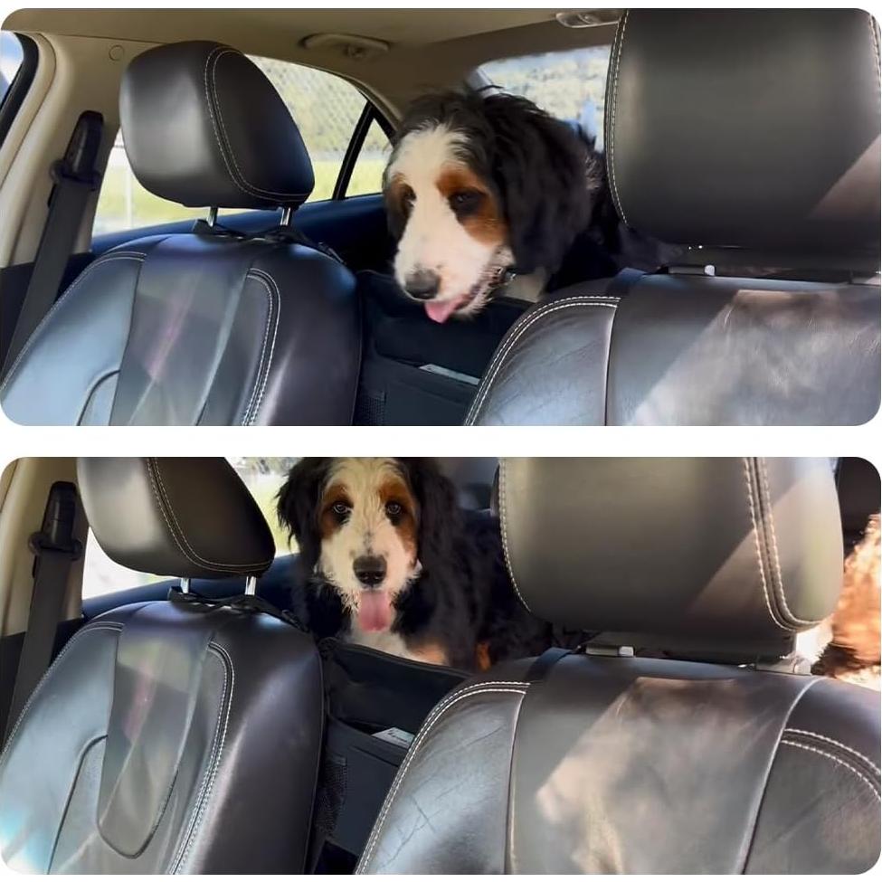 Soporte de bolso de coche Donpeshe negro 7 compartimentos