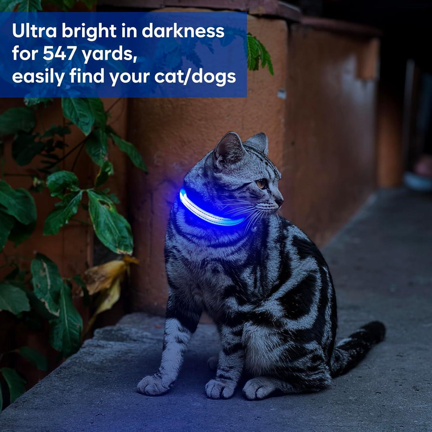 Collar LED Recargable para Perro y Gato Domagiker XS Azul