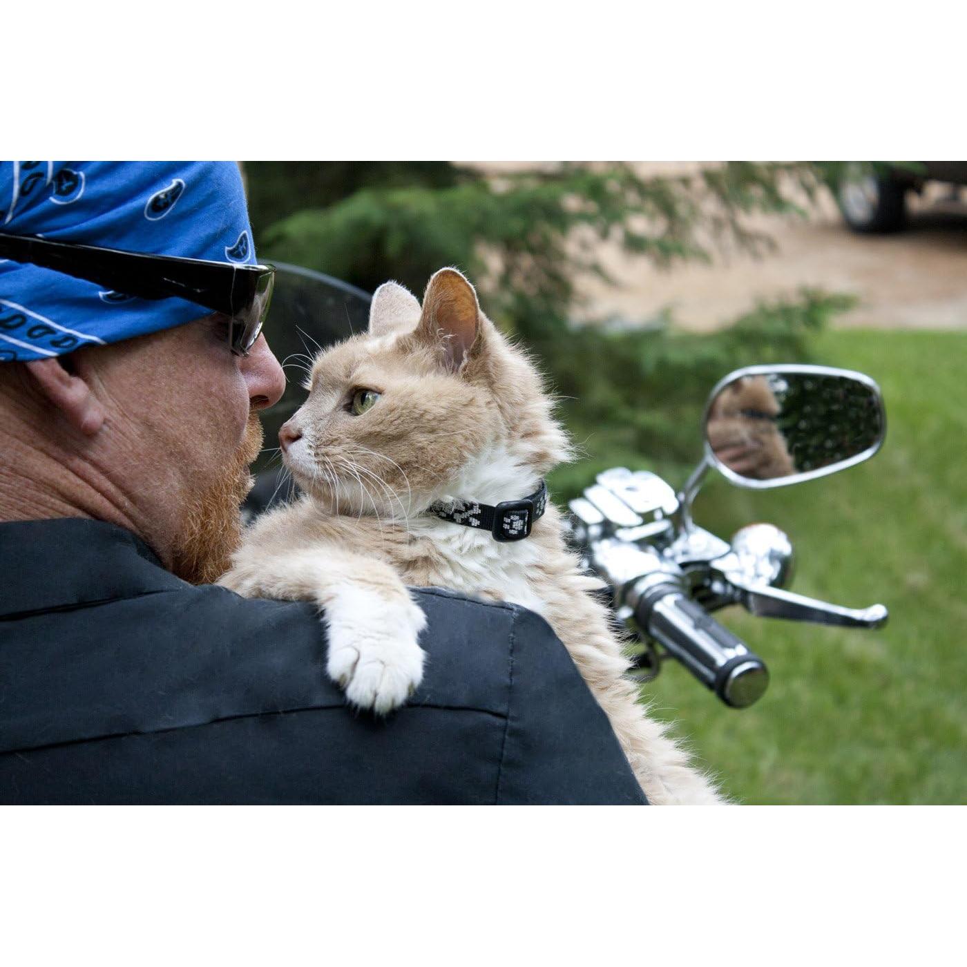 Collar de Seguridad para Gato LupinePet Bling Bonz 20-30 cm